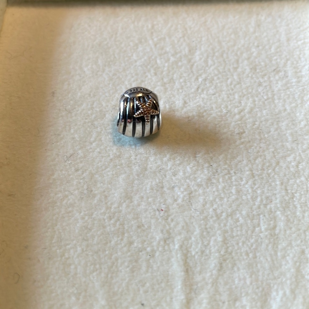 Pandora two-tone bead